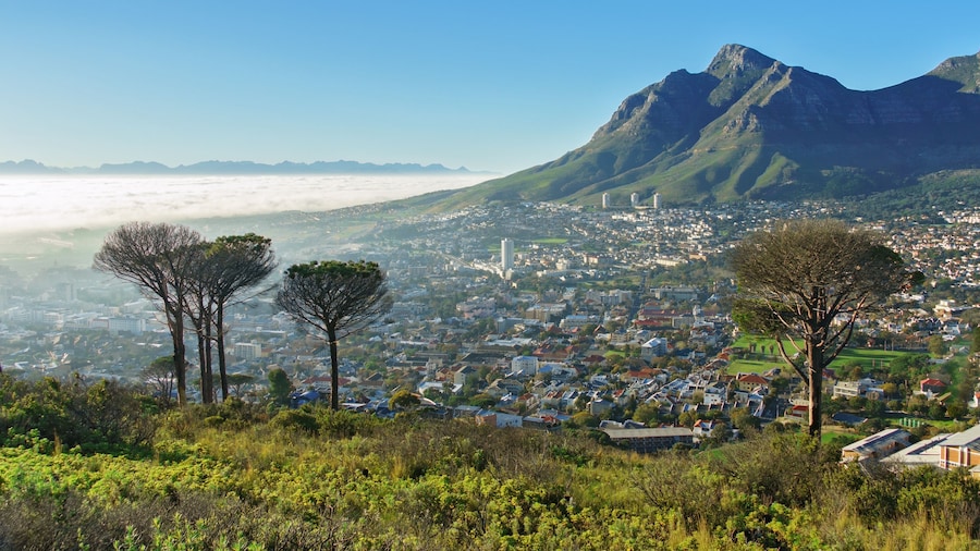 Beautiful view of Cape Town and Table Mountain, South Africa