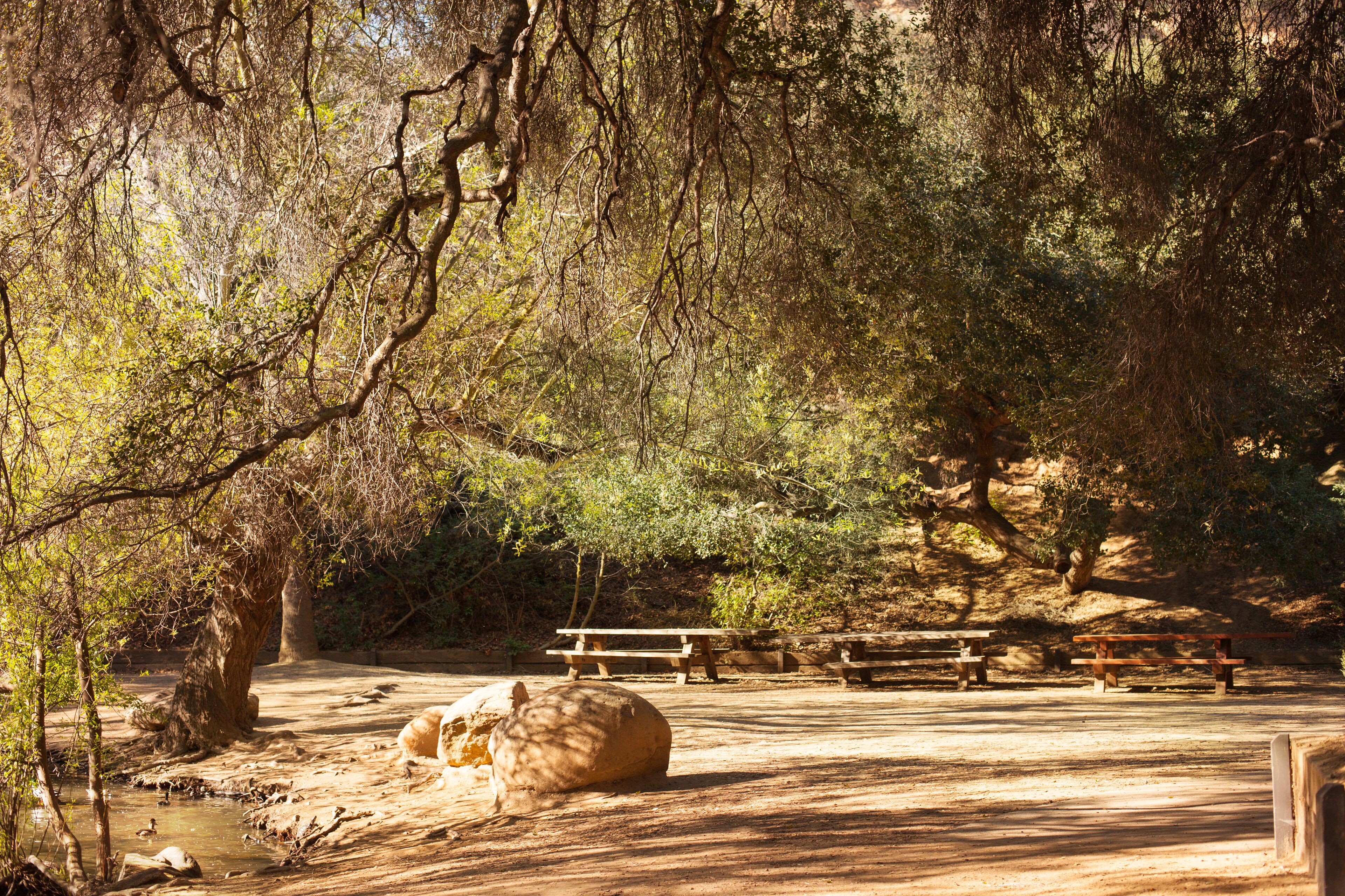 Peaceful Franklin Canyon hike in Beverly Hills, California. The park comprises 605 acres, and is located at the purported geographical center of the city of Los Angeles.