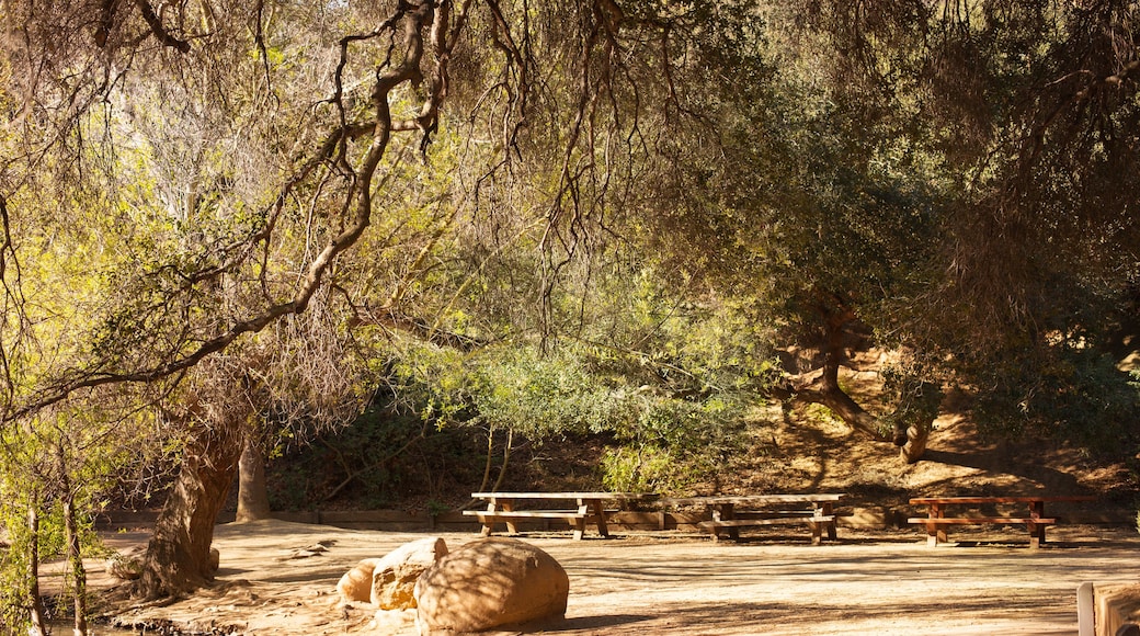 Peaceful Franklin Canyon hike in Beverly Hills, California. The park comprises 605 acres, and is located at the purported geographical center of the city of Los Angeles.