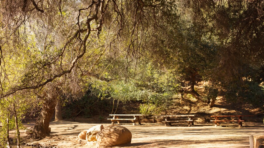 Peaceful Franklin Canyon hike in Beverly Hills, California. The park comprises 605 acres, and is located at the purported geographical center of the city of Los Angeles.