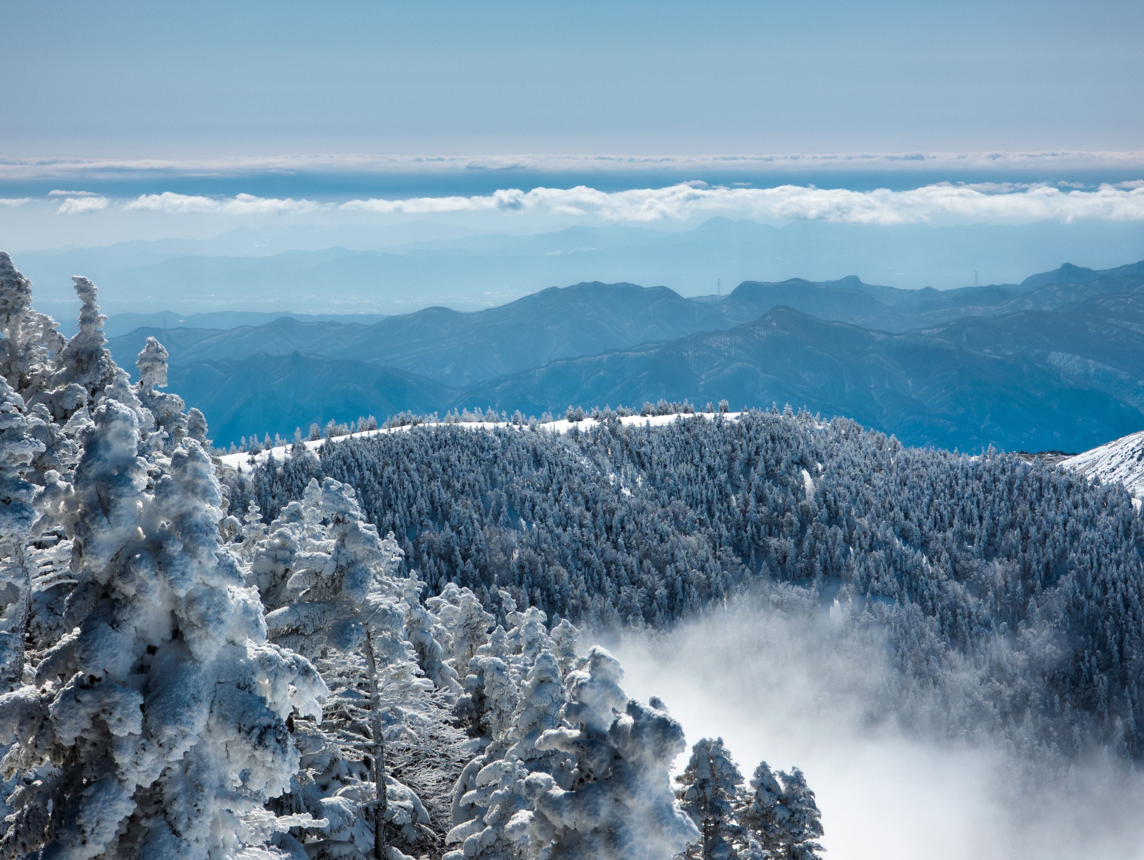A snow-covered mountain landscape with dense forests and distant mountain ranges.