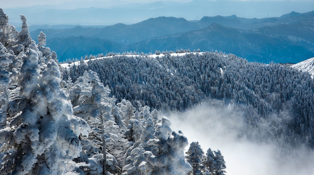 A snow-covered mountain landscape with dense forests and distant mountain ranges.