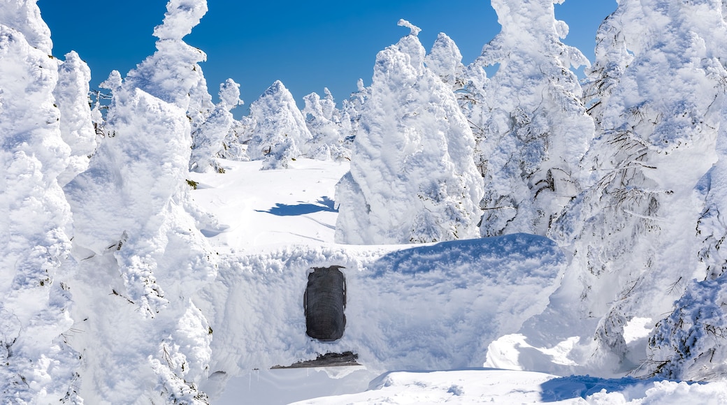 A snow-covered landscape with trees and a clear blue sky.