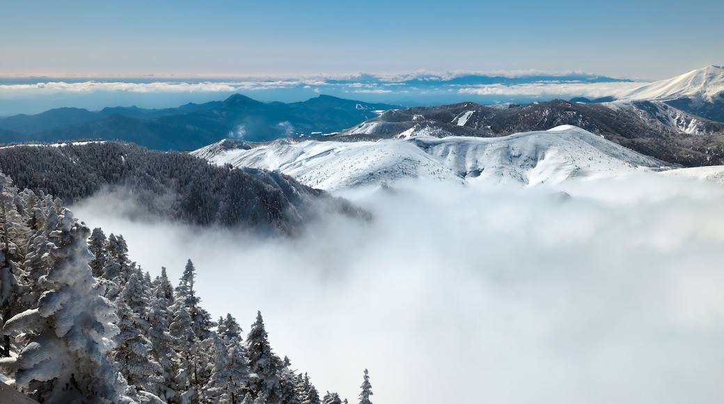 A snow-covered mountain range with a forested valley and a layer of clouds at the base.