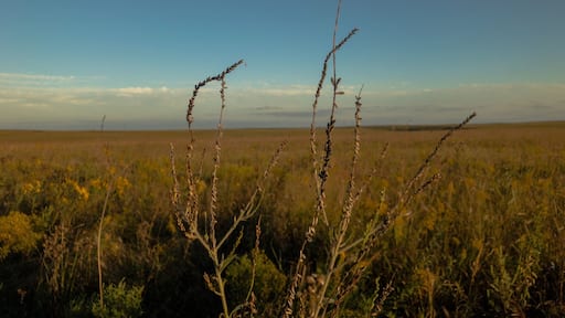 Tallgrass Prairie.