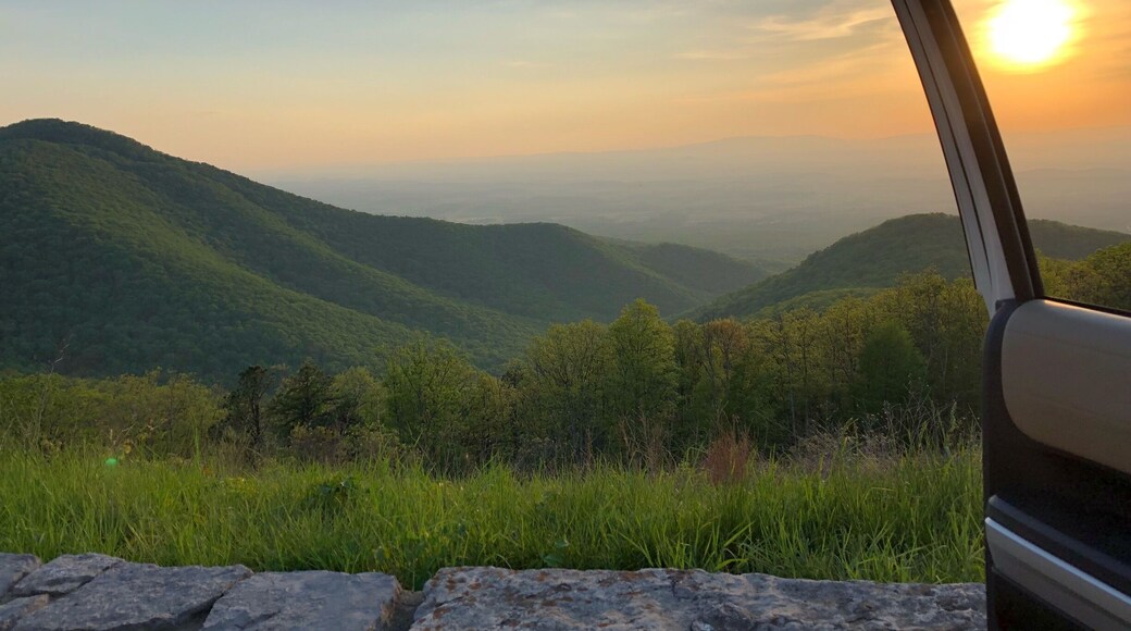 Sunrise on the Skyline Drive. It’s 105 miles in the Shenandoah National Park. To drive it takes about 3-4 hours but that does not include stopping at the gorgeous views, hiking and wildlife. I had deer and bear cross the road while I was driving. Lots of hiking trails to more breathtaking views, waterfalls and streams.