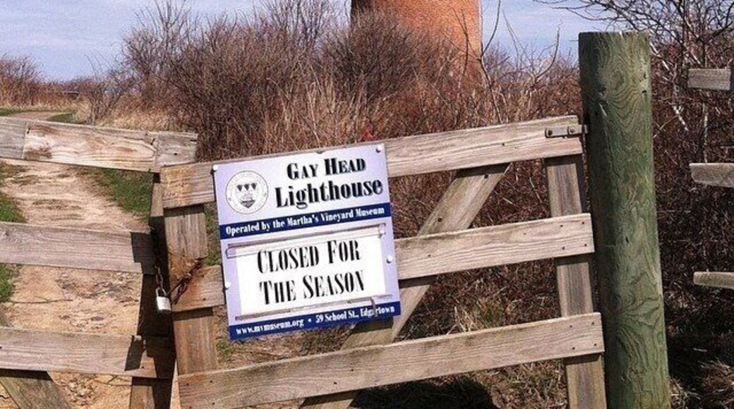 This pic was taken before they moved her.