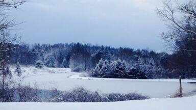 Love snowy days in small towns #snow