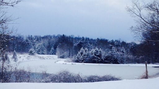 Love snowy days in small towns #snow