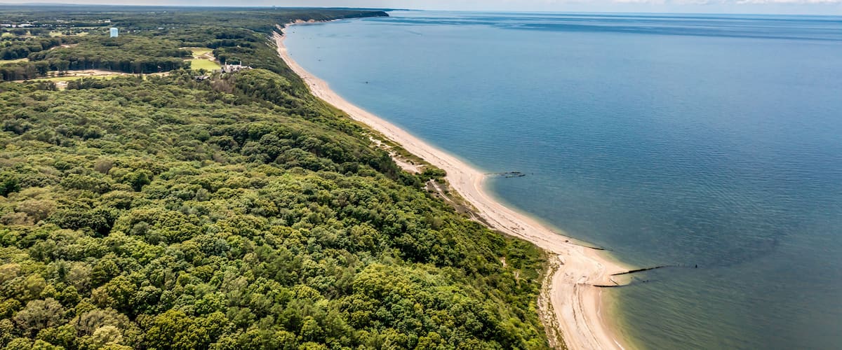 A coastal landscape with a sandy beach, dense green forest, and a clear blue sky.