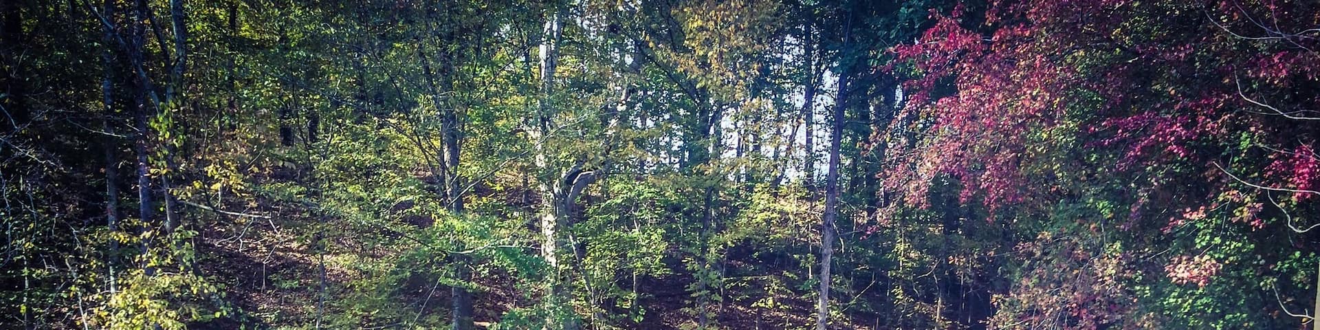 Grady's Mill, water wheel still turns and is located beside a small waterfall.