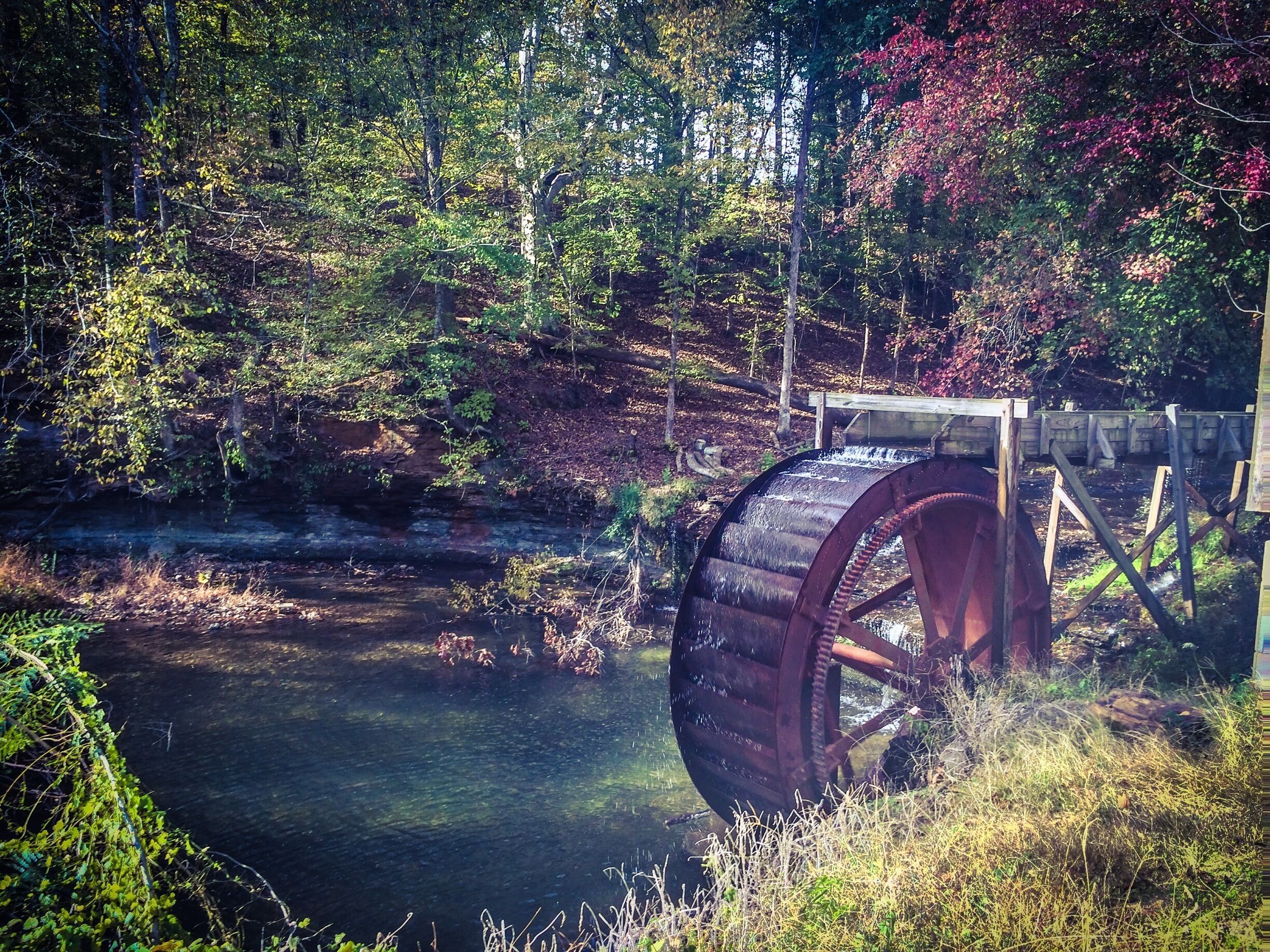 A large water wheel in a forested area with a river.