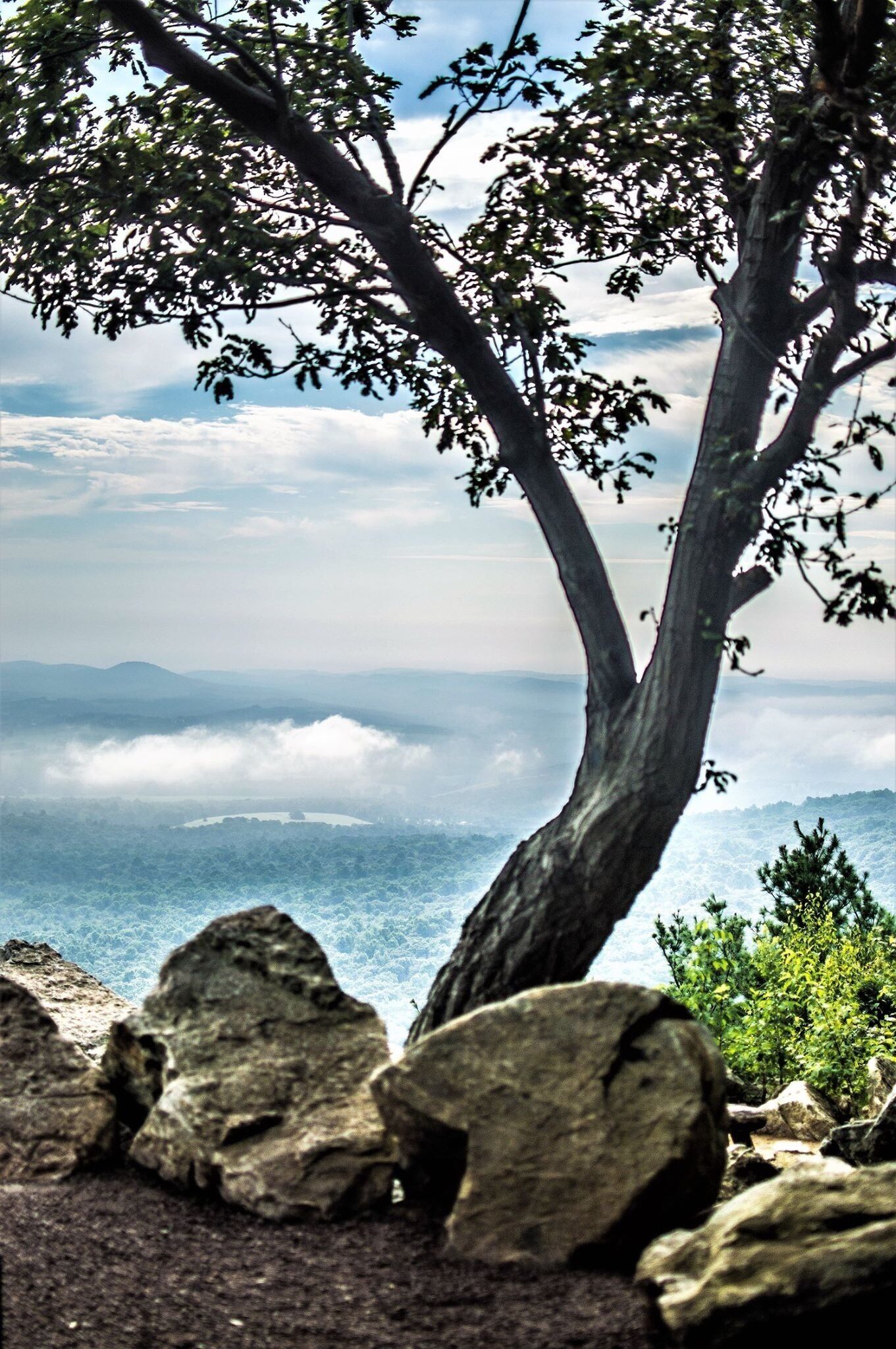 Hawk Mountain... As the world's oldest wildlife sanctuary exclusively committed to the protection and observation of birds of prey!