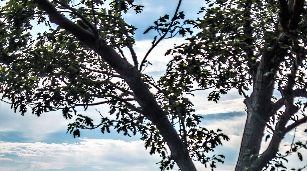 Hawk Mountain... As the world's oldest wildlife sanctuary exclusively committed to the protection and observation of birds of prey!