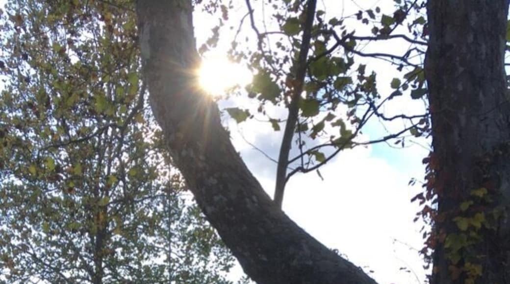 Last grass cutting of the year. Hopefully 🙏🏽