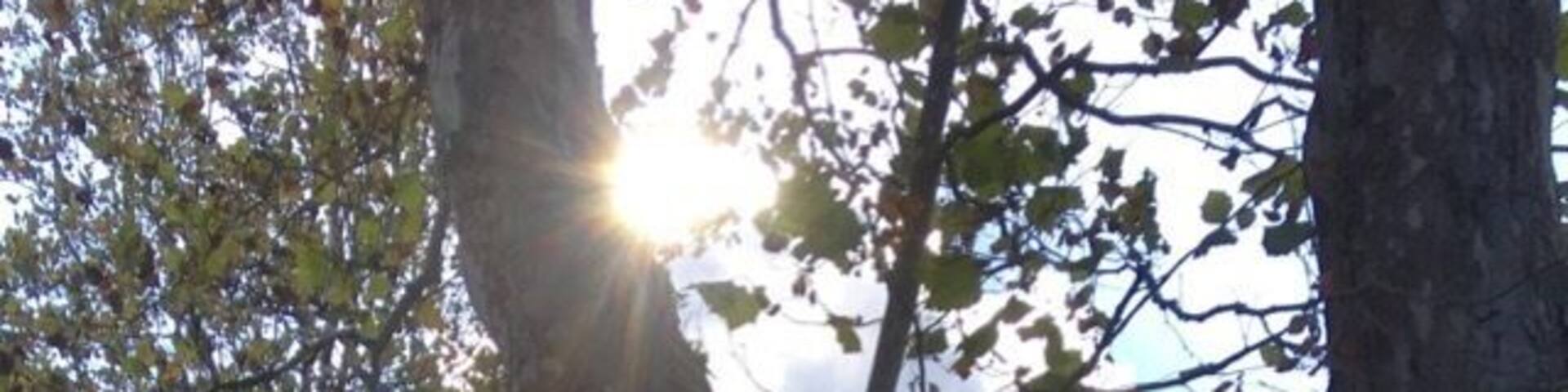 Last grass cutting of the year. Hopefully 🙏🏽