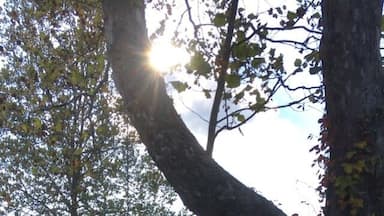 Last grass cutting of the year. Hopefully 🙏🏽