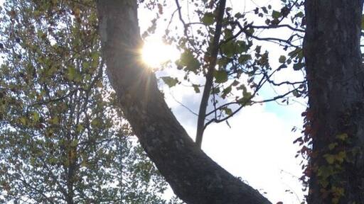 Last grass cutting of the year. Hopefully 🙏🏽