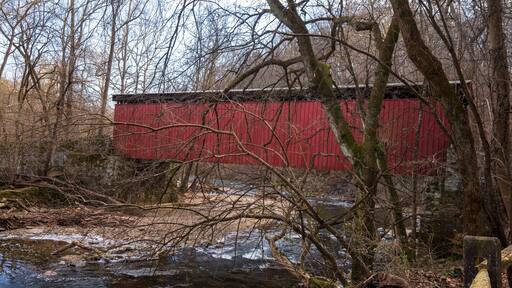 سبرينغ ريدج