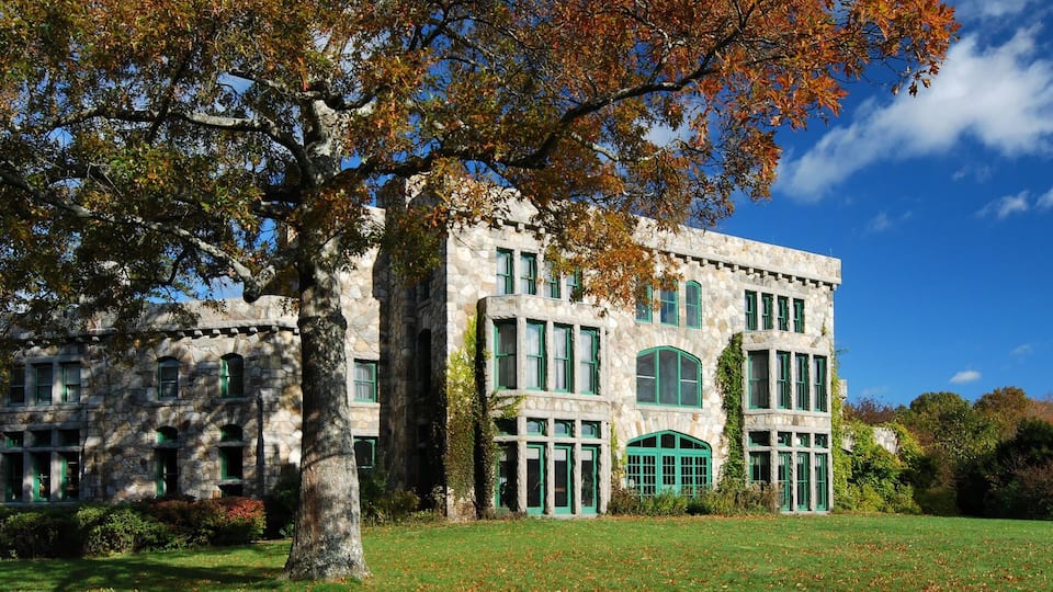 A stone building with green windows and a large tree in front.