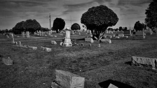 Cemetery where Night of Living Dead was filmed.