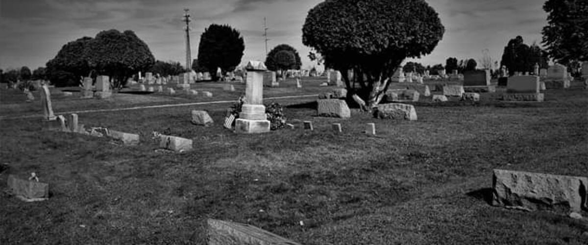 A cemetery with gravestones and a large tree in the center.