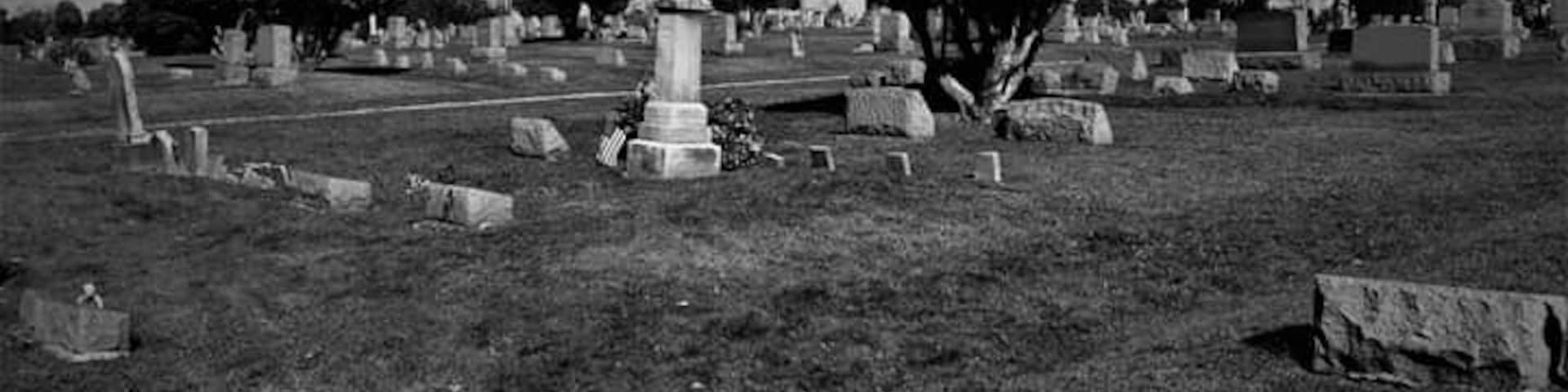 A cemetery with gravestones and a large tree in the center.