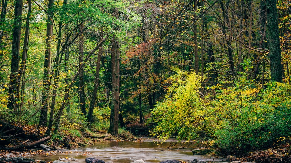Creek at Rocks State Park, Maryland.