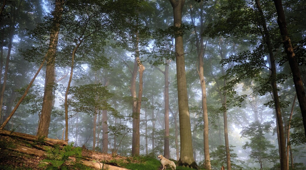 #Adventure contest
if we aren’t home, we are most probably hiking.