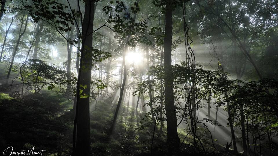 #Adventure Contest
Letâs talk about the local area today. âïžThere are quite a few names here that incorporate the word âquakerâ: Quaker Heights, Quaker Valley, Quaker school district, Quaker High School, etc. After some research today, I discovered that in colonial times, the whole Pennsylvania (formed in 1681) was nicknamed the Quaker State. âïžIts governor was William Penn and yes, thatâs how the name was formed: âPennâ + âsylvaniaâ that means âforest landâ. William Penn was a quaker, a member of a Christian religion branch who (in essence) believed that the each human being has an ability to access âthe light withinâ without a priest as an intermediary. âïžAs a quaker, William Penn experienced all manners of hostility because of his beliefs, so when he became a governor, he wrote the constitution for Pennsylvania that guaranteed âliberty of conscienceâ. âïžPennsylvania is one of the 13 original founding states of the United States of America which declared independence in 1776 form the United States of America. âïžThe state is also known as the Keystone State because of its central location among the original Thirteen Colonies forming the United States, and also because the Declaration of Independence was signed here. âïžOther names are âThe Coal State", "The Oil State", "The Chocolate State", and "The Steel State" after the state's greatest industries.