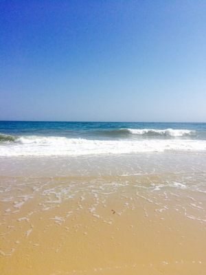 If you are looking for a place to relax... West Hampton is that place ❤️