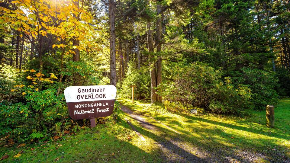 Gaudineer knob sign in Monongahela National Forest Appalachian mountains West Virginia hiking scenic trail entrance to moss forest in morning sunrise