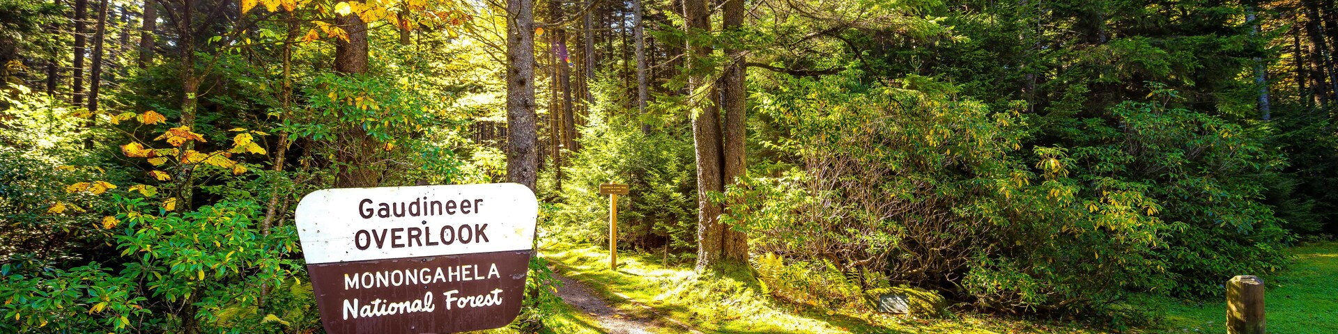 A sign for Gaudiner Overlook in Monongahela National Forest.
