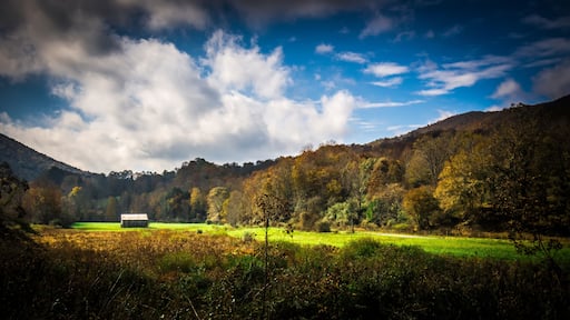 beautiful autumn scenery along viginia creeper trail west virginia