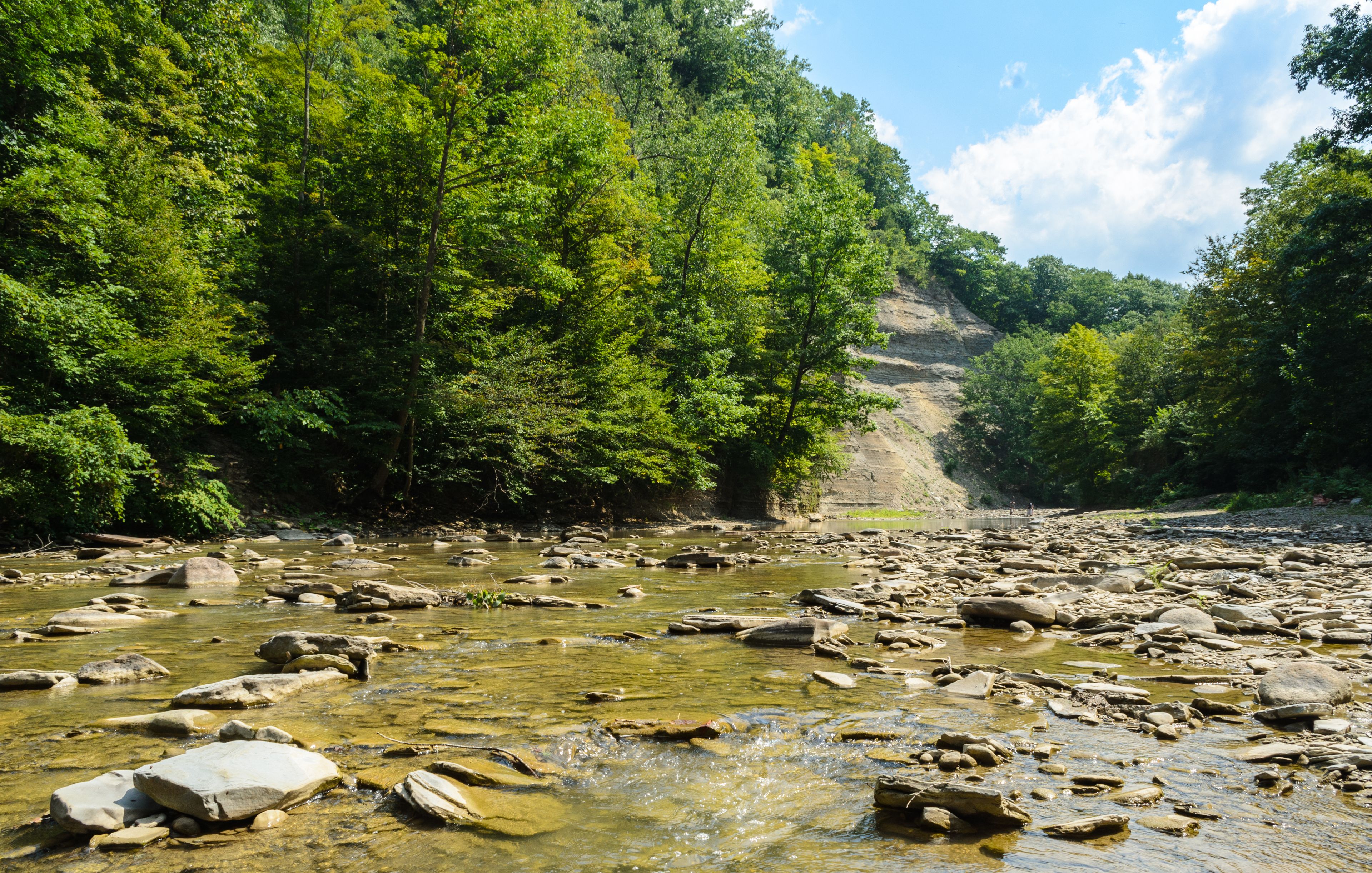 A river with clear water, surrounded by dense green forest and rocky terrain.