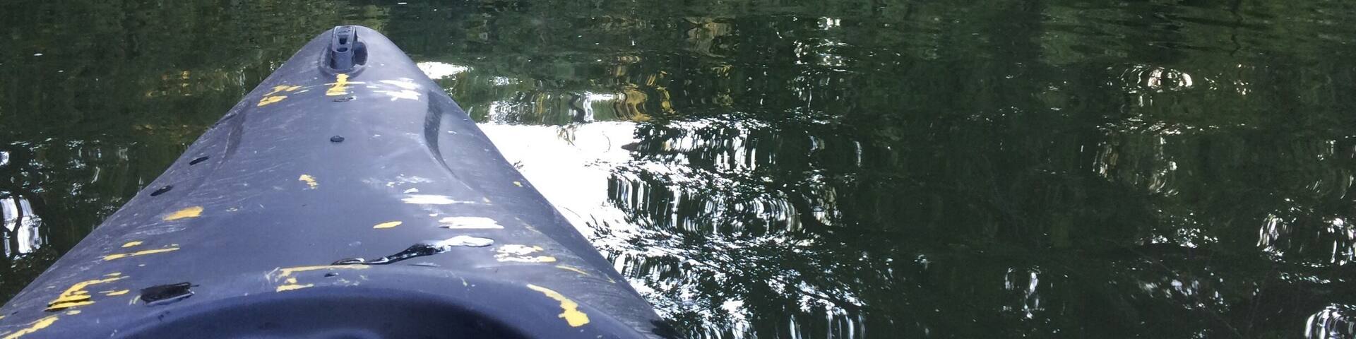 Paddlin with friends