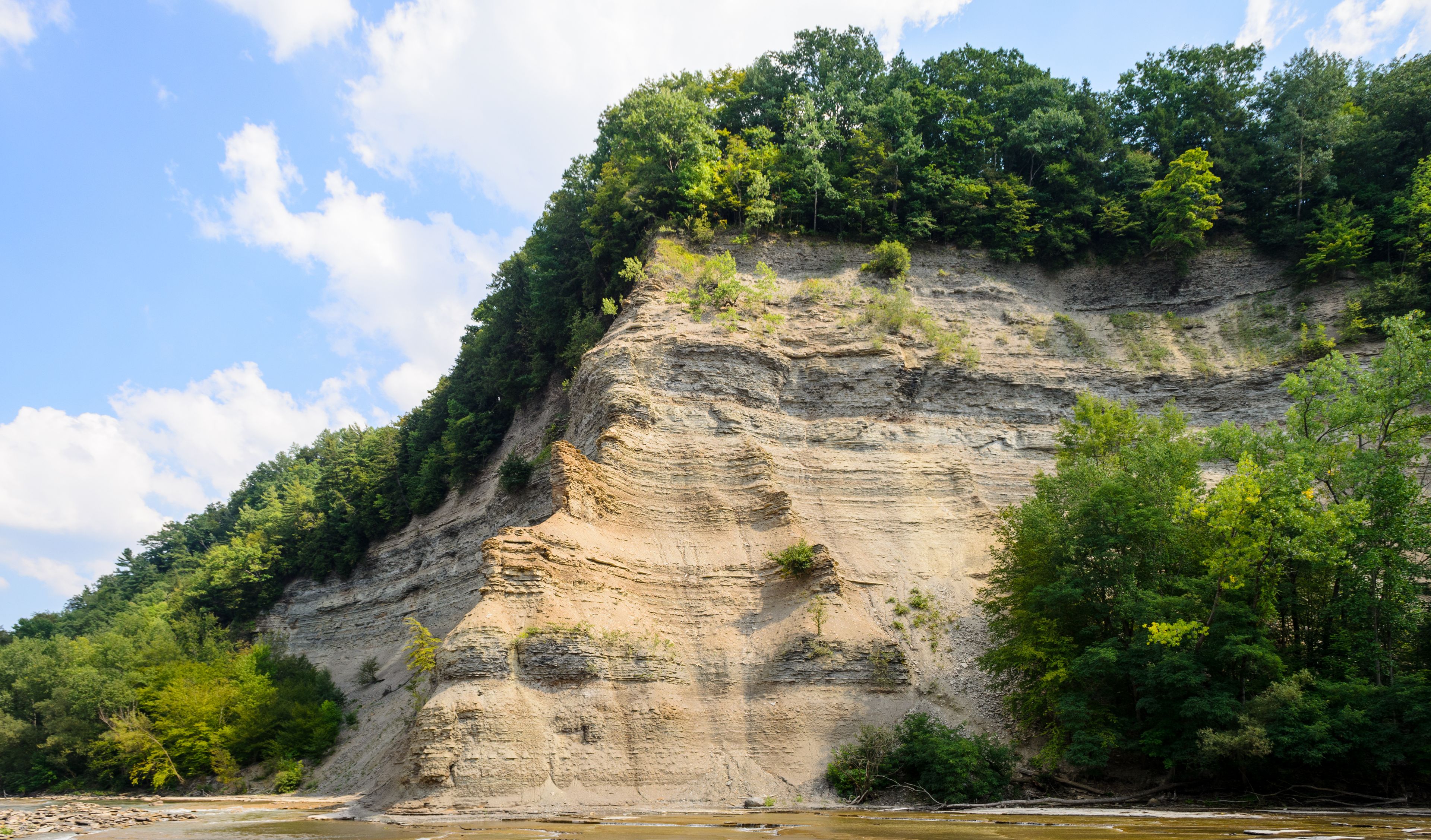 A riverbank with a steep cliff, dense green foliage, and a clear sky.