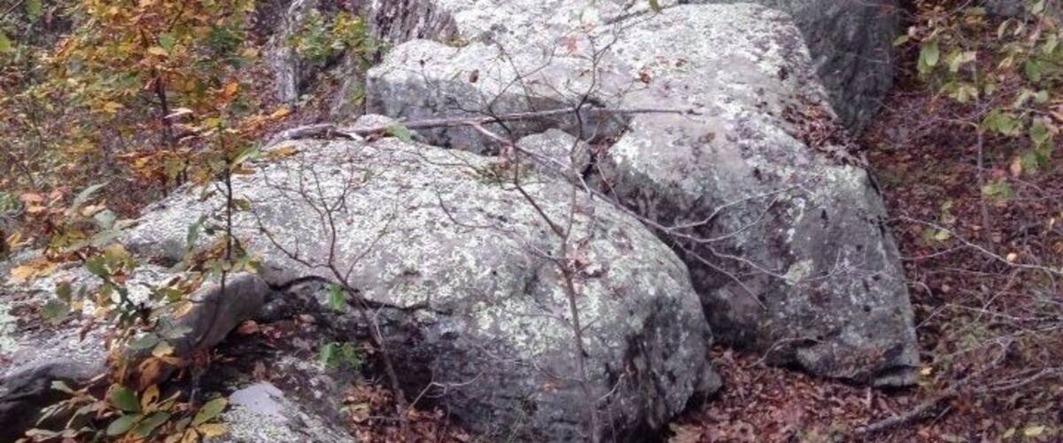A rocky outcrop surrounded by autumn foliage in a forest.