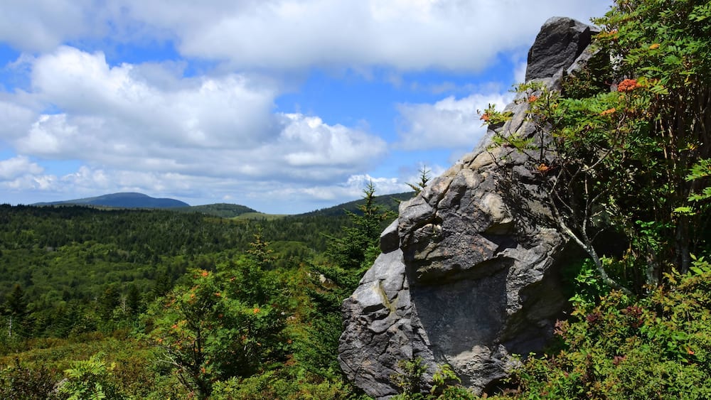 looking out towards mount rogers and the appalachian mountains of virginia from the knobs of wildburn ridge in summer on appalachian trail in grayson highlands state park in southwestern virginia