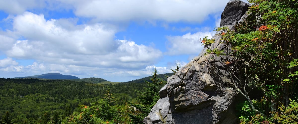 A rocky outcrop surrounded by dense forest and a mountain range in the distance.