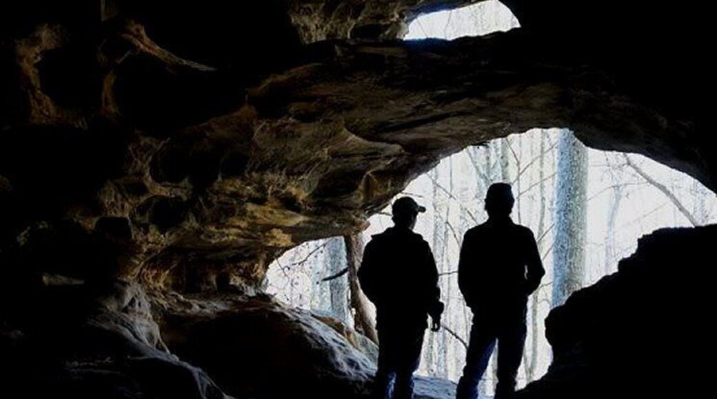 Inside cave looking out