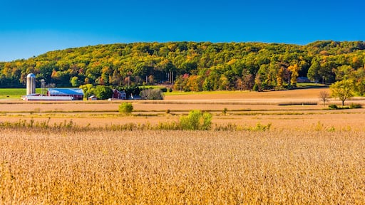 View of farms and hills near Hanover, Pennsylvania.