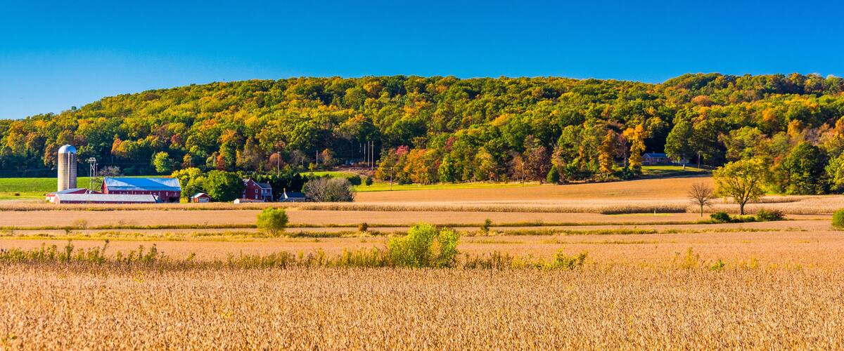 A wheat field, a silo, a barn, and a forested hill.