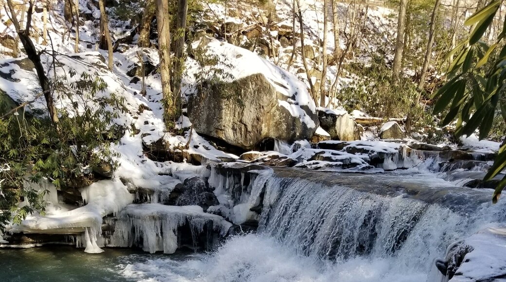 One of 3 waterfalls along this rail trail. The begin about a mile in from this trail head. Very flat trail that goes for miles. Great for biking n hiking.