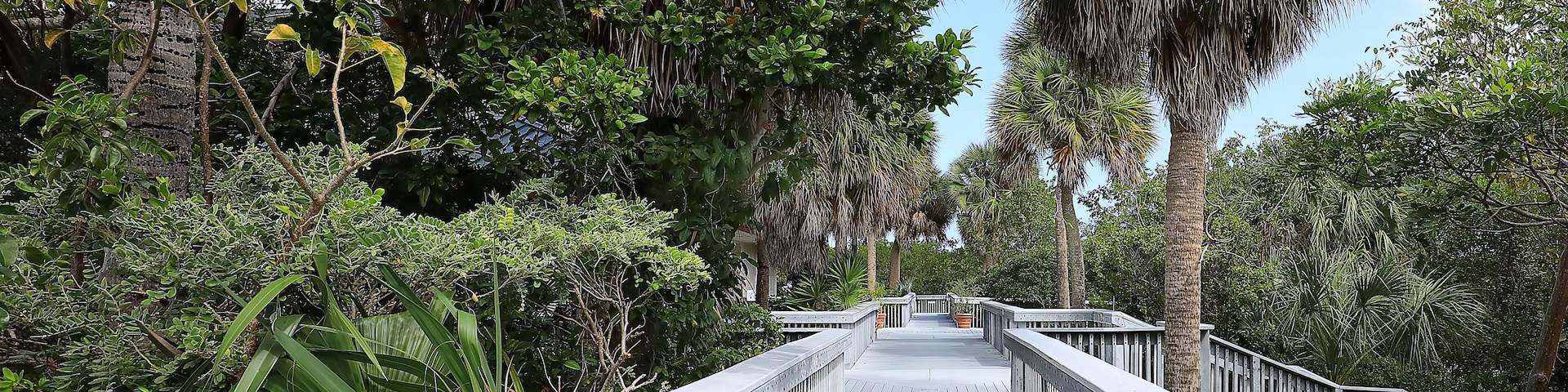 Walkway at Anne Kolb Nature Center.  Anne Kolb is a 1,501-acre, free coastal mangrove wetland park in Hollywood, Florida, USA.