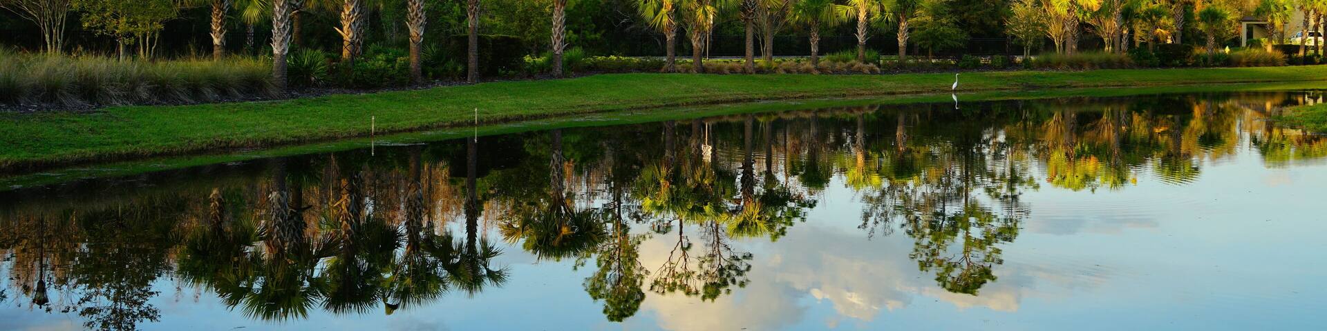 Tropical pond in Florida
