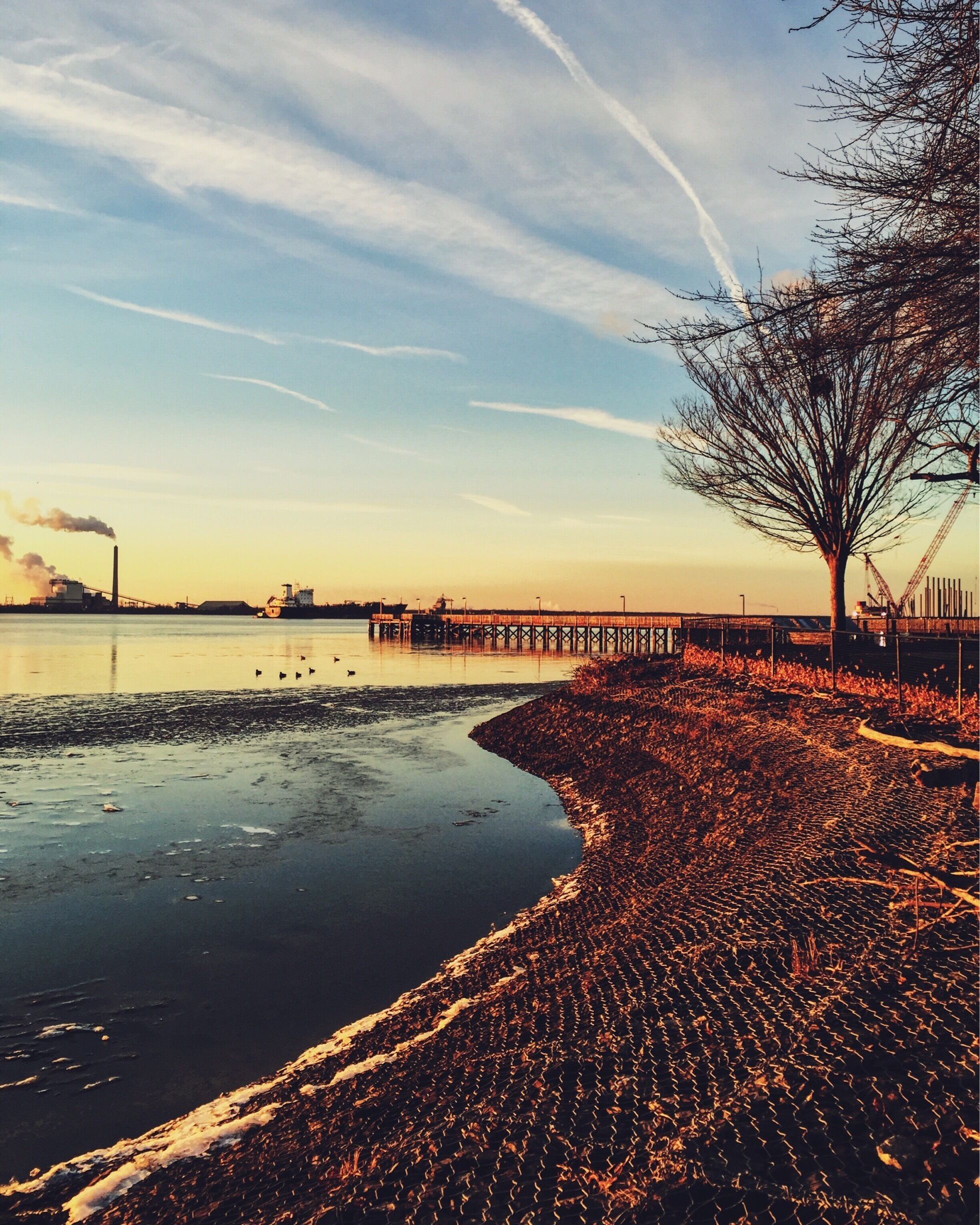 A waterfront scene with a pier extending into the water, a tree on the right, and industrial structures in the background.