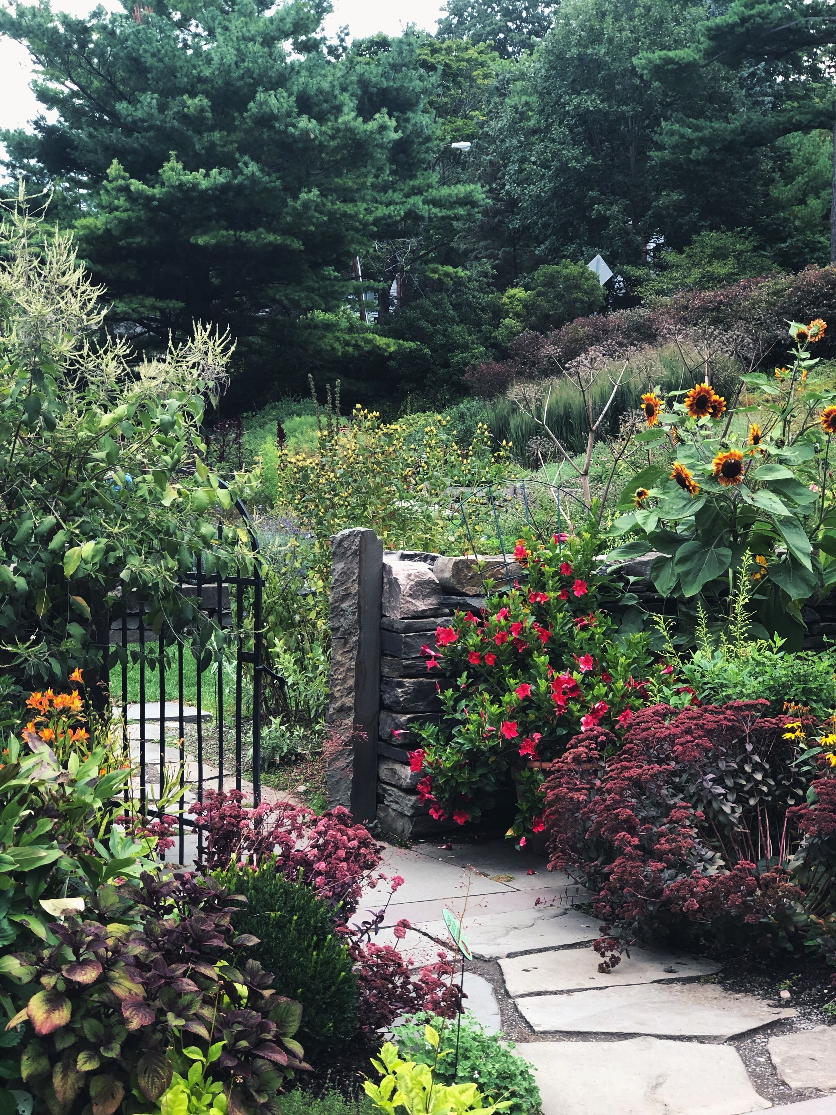 If you want some Secret Garden vibes without traveling to England, may I suggest a quick stop at the Cornell Botanic Gardens?