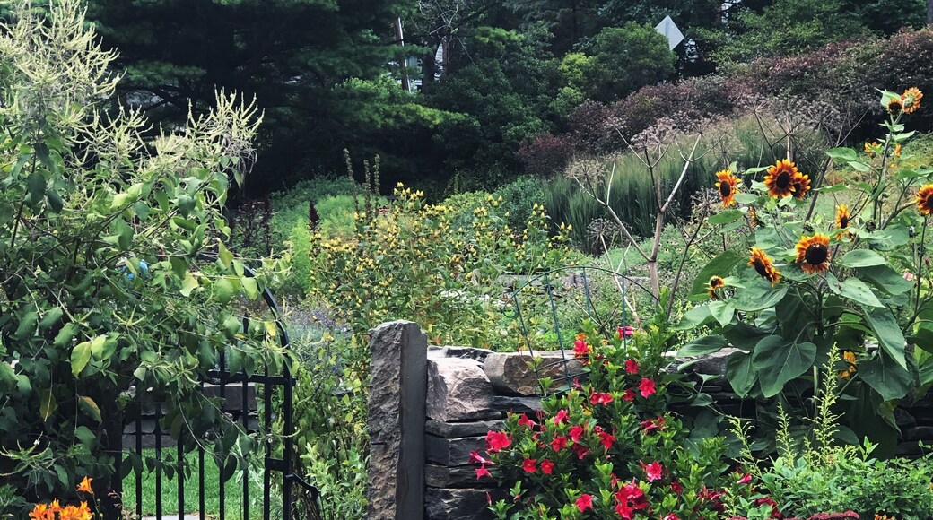 If you want some Secret Garden vibes without traveling to England, may I suggest a quick stop at the Cornell Botanic Gardens?