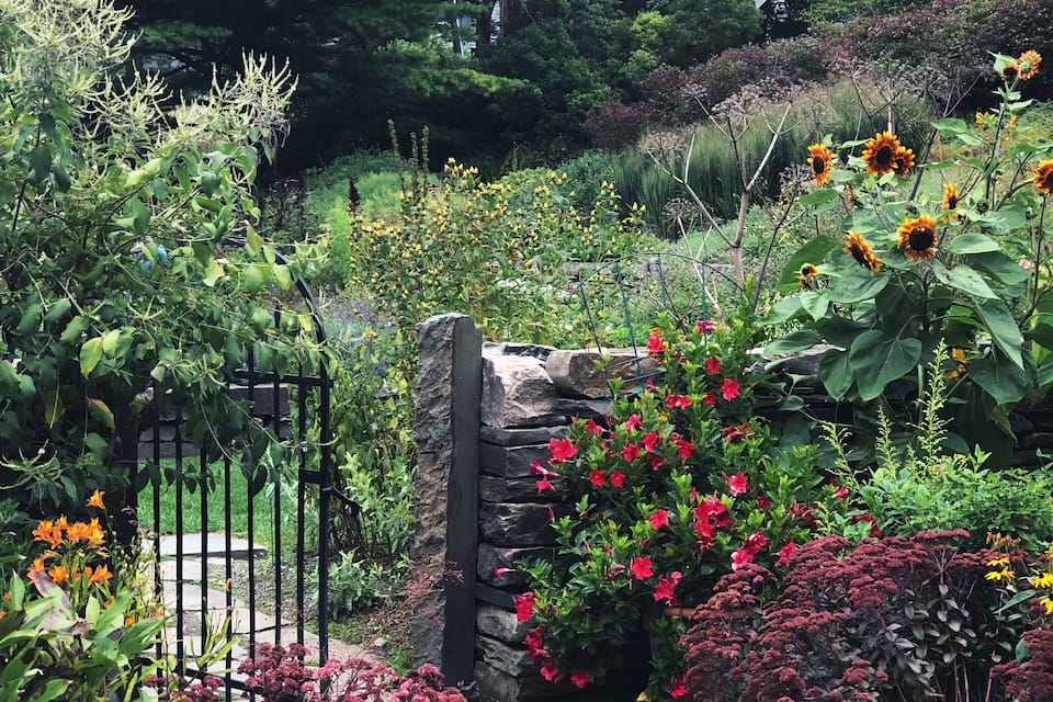 A garden with a stone wall, a metal gate, and various flowering plants.